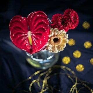 早安圖模板：花卉早安